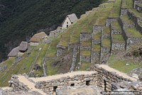 Many levels of grass supported by stone with thatched roof stone houses at Machu Picchu.
