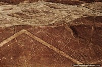 A Baleia, primeira figura vista do avião sobre as Linhas de Nazca. Peru, América do Sul.