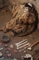 A mummy in a pit with bones and broken ceramics at Chauchilla cemetery in Nazca.
