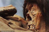 Mummy with prominent teeth, frozen in time at the Maria Reiche Museum near Nazca. Peru, South America.