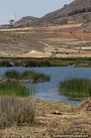 Peru Photo - Man collects reeds from San Nicolas Lagoon in Namora.