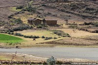 Countryside with animals near the lagoon in Namora. Peru, South America.