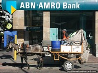 Contemplar roubo do banco em cavalo e carreta possivelmente? Montevidéo. Uruguai, América do Sul.
