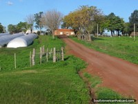 Estrada para carros que leva a uma casa da fazenda ao sul de Mercedes. Uruguai, América do Sul.