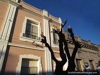 Edifïcio histórico rosa em Dolores. Uruguai, América do Sul.