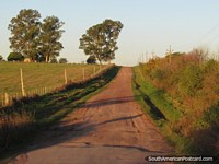 Estrada não lacrada que leva a fazendas fora da estrada entre Dolores e Palmira. Uruguai, América do Sul.