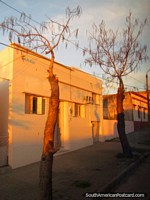 A house glows yellow as the sun sets in the city of Palmira.