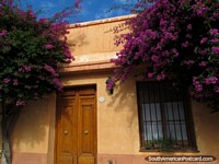 Casa histórica y flores moradas en Colonia del Sacramento. Uruguay, Sudamerica.