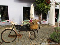 Una vieja bicicleta oxidada con cesta de la flor fuera de restaurante en Colonia. Uruguay, Sudamerica.