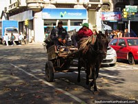 Horse and cart trots through a Montevideo street. Uruguay, South America.