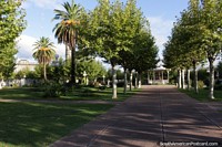 A praça pública central frondosa em Fray Bentos - Praça Constitucion. Uruguai, América do Sul.