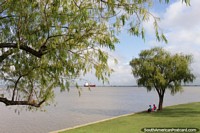 2 people sit under a tree while fishing at the Uruguay River in Fray Bentos. Uruguay, South America.