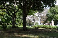 Parque Roosevelt em Fray Bentos, parque bonito acima do rio com muitas folhas e boas visões. Uruguai, América do Sul.