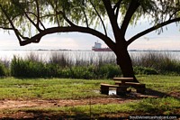 Take a seat under a tree beside the river in Fray Bentos. Uruguay, South America.