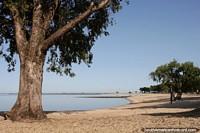 Playa extensa y desierta en una hermosa zona en Carmelo - Playa Sere. Uruguay, Sudamerica.