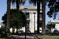 Edificio gubernamental junto a la Plaza Artigas en Carmelo con altas palmeras. Uruguay, Sudamerica.