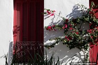 Wooden window shutters with iron barrier, flowers grow up the front of this beautiful house in Montevideo. Uruguay, South America.