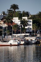 Larger version of Punta del Este, a beautiful place for boating, beaches, restaurants, bars and palm trees.