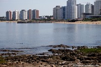 Vivir en apartamentos en la playa de Mansa en Punta del Este con rocas, embarcadero y arena. Uruguay, Sudamerica.