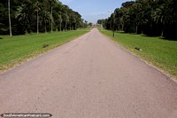 La mejor manera de ver el Parque Nacional Santa Teresa es en automóvil o bicicleta, el camino es largo, Punta del Diablo. Uruguay, Sudamerica.