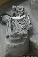 Skeleton encrusted in rock at the Anthropological Museum in Quibor.