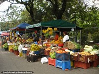 The fruit stalls beside San Cristobal bus terminal. Venezuela, South America.