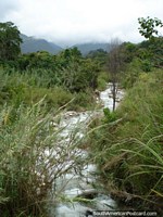O rio que examina a cidade de Mérida. Venezuela, América do Sul.