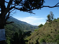 Vista das colinas verdejantes enquanto viaja pela Mérida pela estrada Transandina. Venezuela, América do Sul.