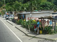 Um homem vende a carne que suspende de ganchos em uma esquina de rua, Mérida a Maracaibo. Venezuela, América do Sul.