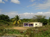 Versión más grande de Casa de campo y palmera en la costa del norte seca caliente al este de Maracaibo.