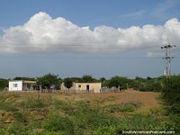 Larger version of Houses in the country between Maracaibo and Coro.