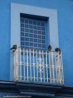 Blue door and pigeons on a balcony in Puerto Cabello. Venezuela, South America.