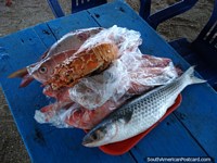Versión más grande de Pescado fresco incluso cangrejo de río en el restaurante en La Restinga en Isla Margarita.