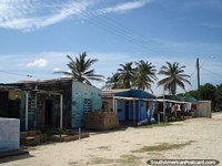 Versión más grande de Los habitantes del barrio de casas del La Restinga con palmeras detrás en Isla Margarita.