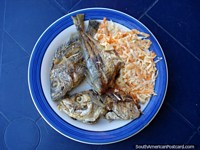 Comí el pescado diariamente cuando me quedé con una familia en el La Restinga, Isla Margarita. Venezuela, Sudamerica.