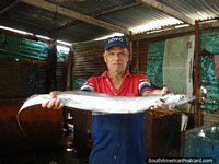 El hombre en la pesca del cobertizo me muestra un pescado parecido a una serpiente largo en Juan Griego, Isla Margarita. Venezuela, Sudamerica.