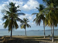 Playa y orilla con palmas en Puerto la Cruz, vistas de la isla. Venezuela, Sudamerica.