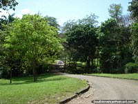 Andando los caminos a través de los árboles y vegetación en Parque Cachamay en Ciudad Guayana. Venezuela, Sudamerica.