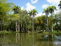 Versão maior do Parque Cachamay é um grande lugar de gostar do sossego de natureza, tanque e árvores, Cidade Guayana.