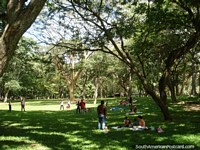 Ã�rea de piquenique na grama abaixo das árvores em Parque Cachamay, Cidade Guayana. Venezuela, América do Sul.