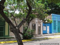 Una fila de viejas casas bajo árboles en calle 93 en Maracaibo. Venezuela, Sudamerica.