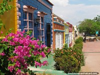 Flores y casas coloreadas en barrio Santa Lucia histórica de Maracaibo. Venezuela, Sudamerica.