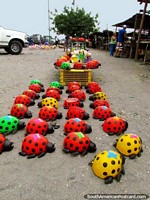 Overgrown ladybugs for sale in Quibor. Venezuela, South America.