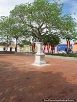 Plaza Miranda, huge tree and open space, Ciudad Bolivar. Venezuela, South America.