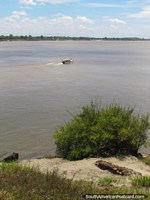 Larger version of Excursions by boat on the Orinoco River in Ciudad Bolivar.