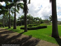 Muitas árvores e espaços abertos em Jardin Botanico do Orinoco em Cidade Bolivar. Venezuela, América do Sul.