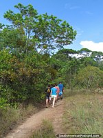 Walking for 20mins on a track through the bush to Salto El Sapo waterfall, Canaima. Venezuela, South America.