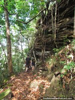 Versión más grande de El paseo del arbusto en la excursión de la tarde durante el día 1 a Salto El Sapo, Canaima.