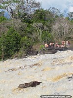 Um grupo de outro lado de Salto El Sapo onde tïnhamos sido anteriormente, Canaima. Venezuela, América do Sul.