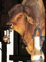 Uma cabeça de vacas montada e lanternas em um restaurante em Colônia Tovar. Venezuela, América do Sul.